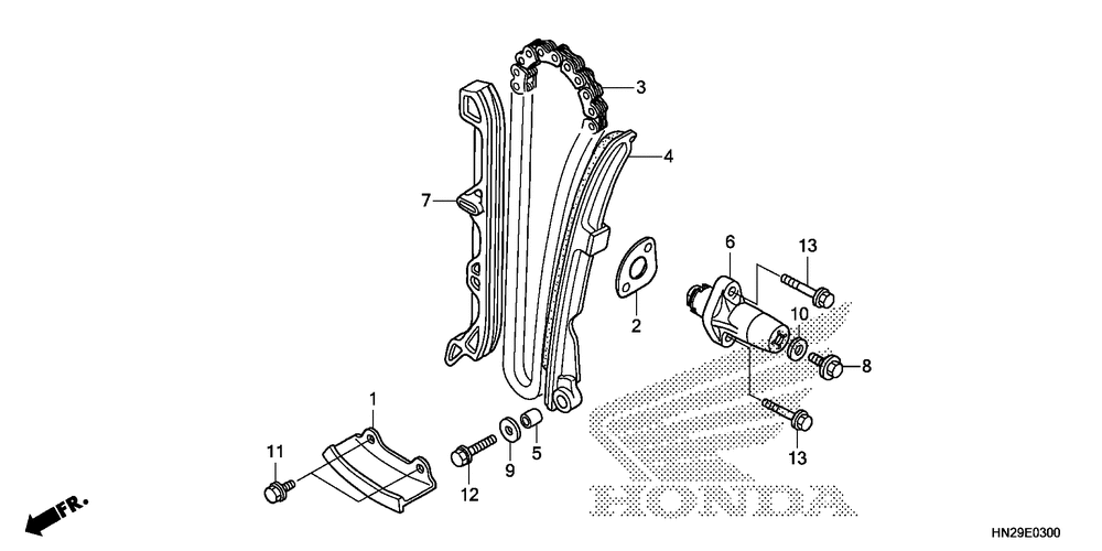 Cam chain & tensioner