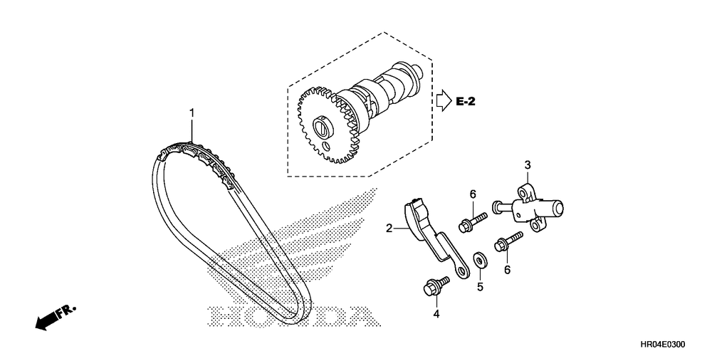 Cam chain & tensioner