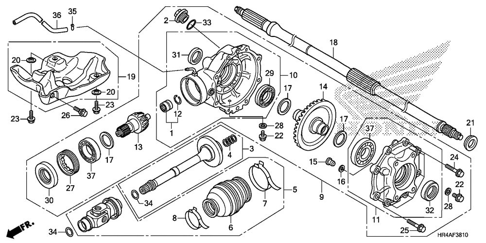 Rear final gear