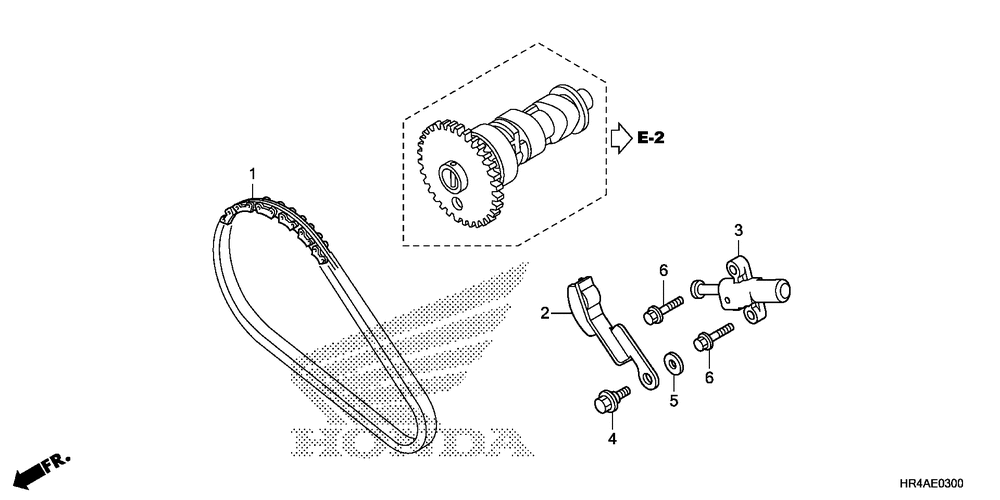 Cam chain & tensioner