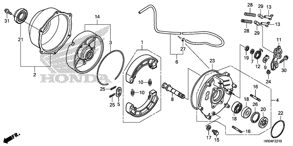 Rear brake panel