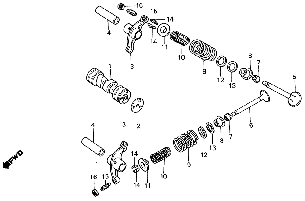 Camshaft & valve