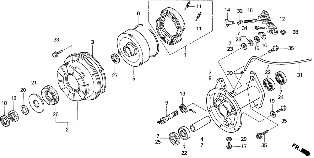 Rear brake drum