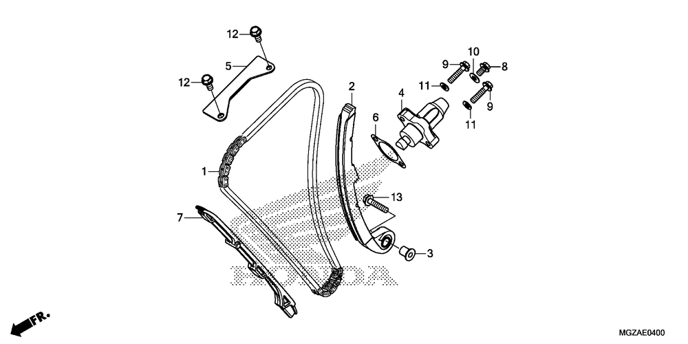 Cam chain & tensioner