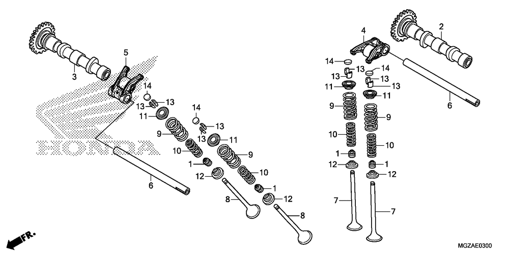 Camshaft & valve