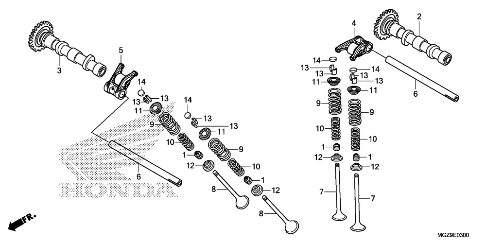 Camshaft & valve