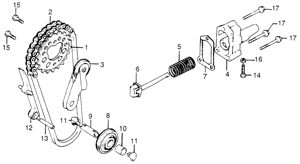 Cam chain & tensioner