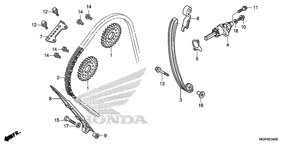 Cam chain & tensioner