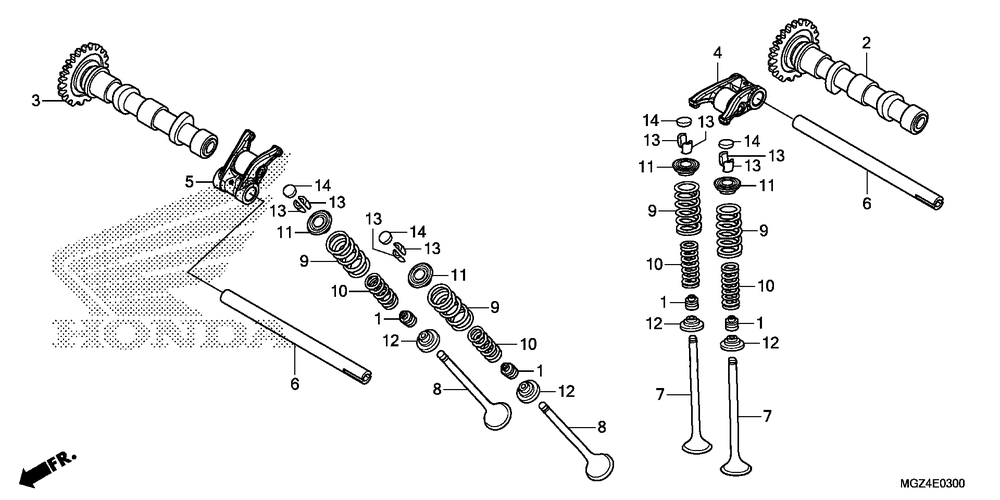 Camshaft & valve