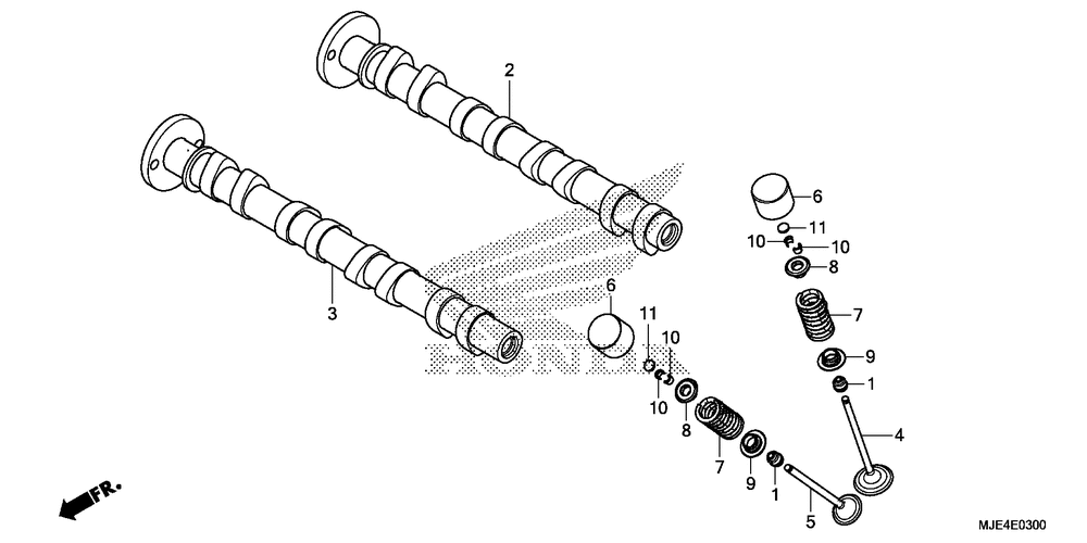 Camshaft & valve