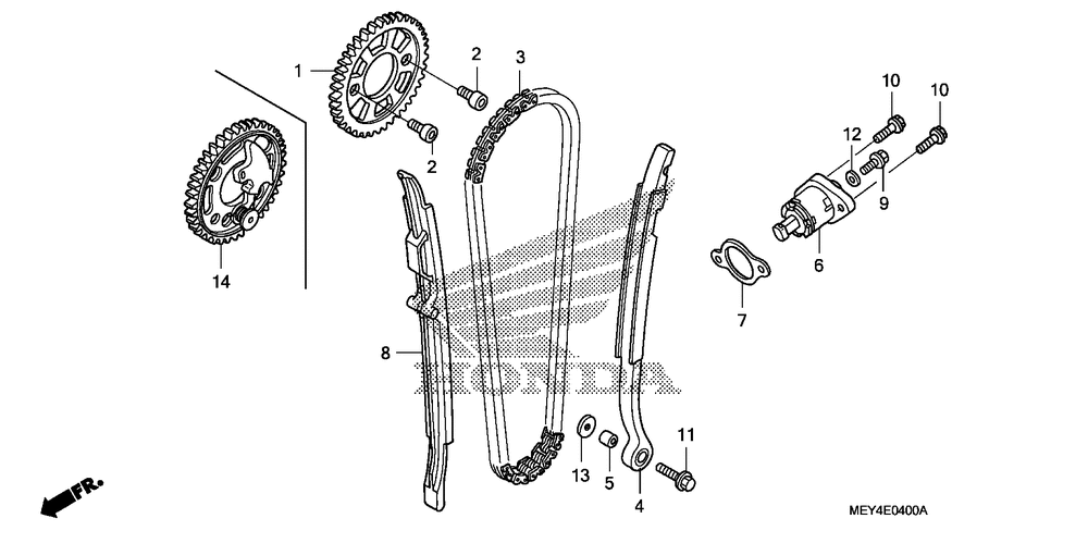 Cam chain & tensioner