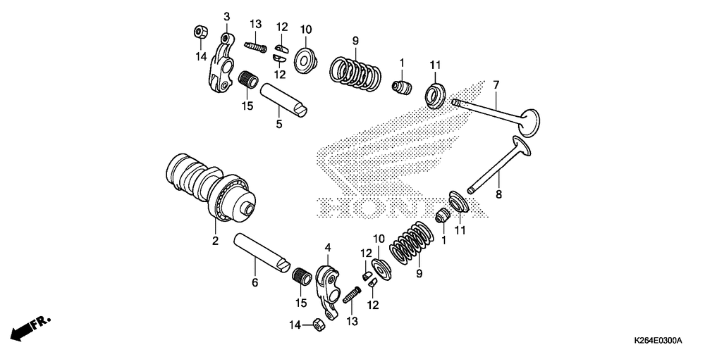 Camshaft & valve