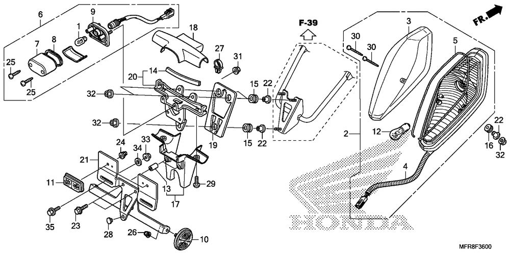 Taillight & license light(1)