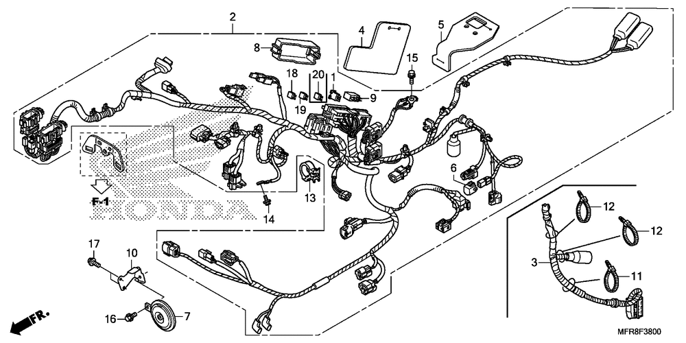 Wire harness (1)