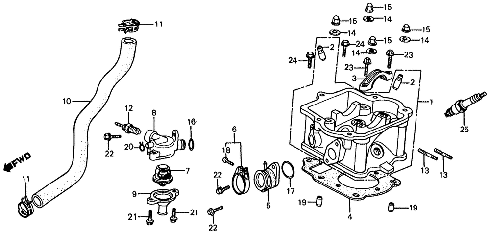 Cylinder head