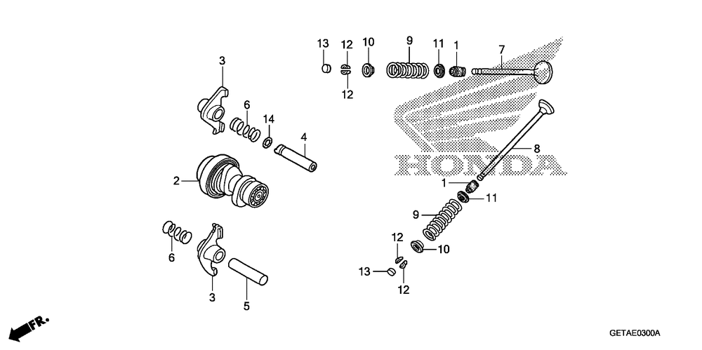 Camshaft & valve