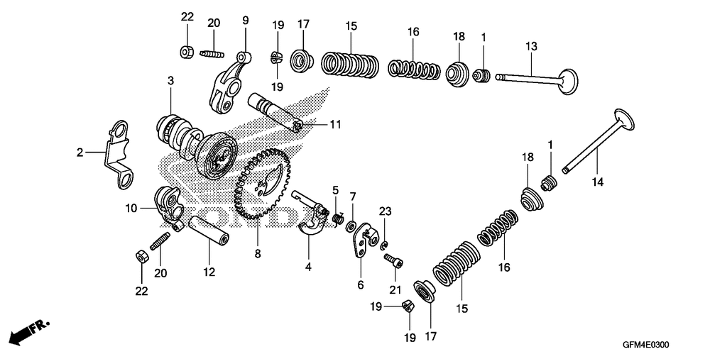 Camshaft & valve