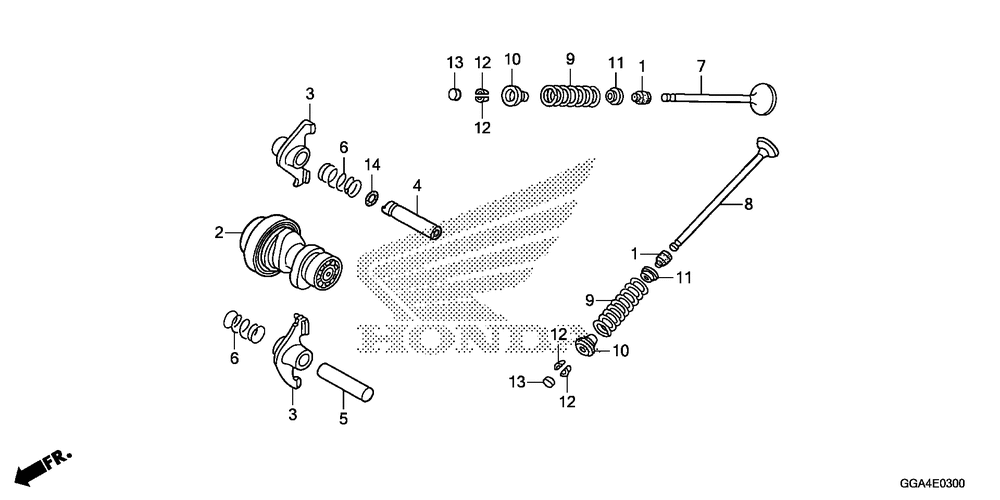 Camshaft & valve