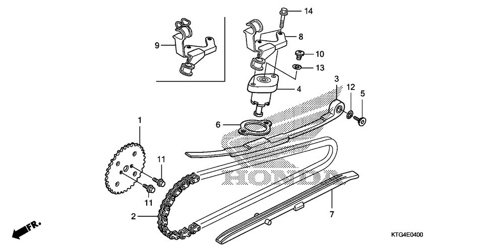 Cam chain & tensioner