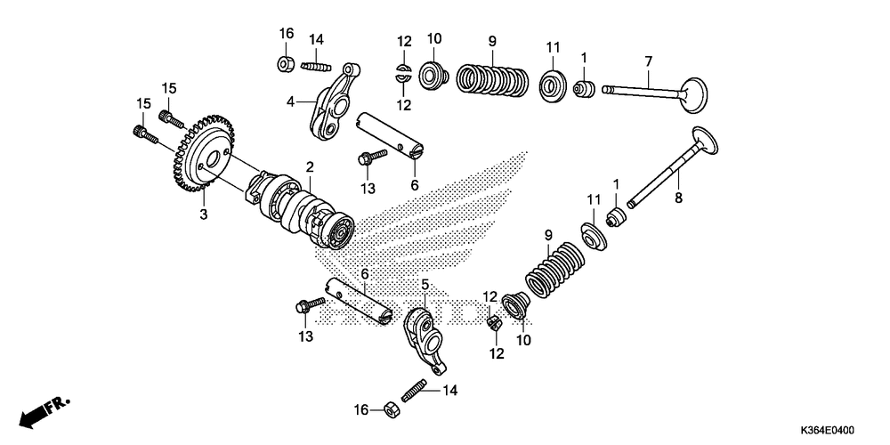 Camshaft & valve