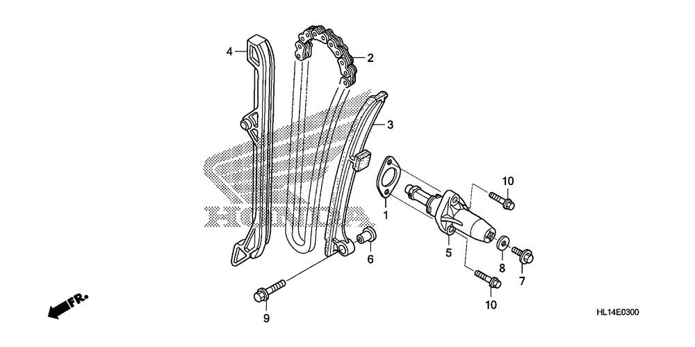 Cam chain & tensioner