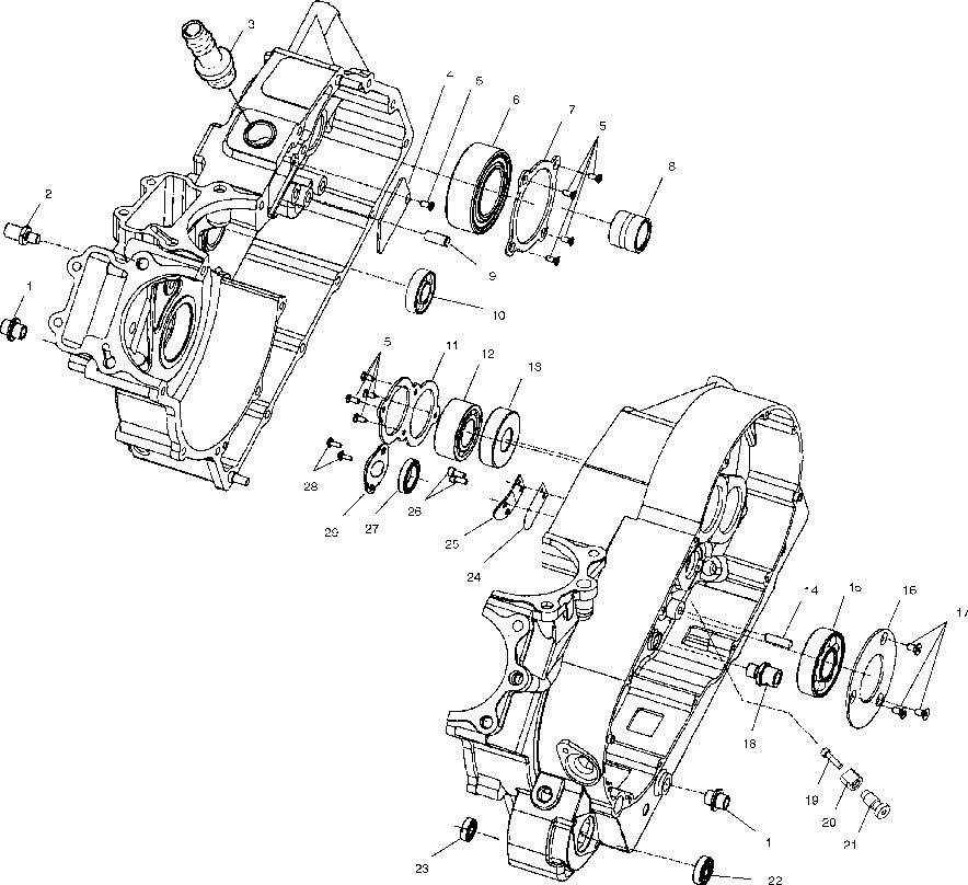 Crankcase bearings - v01cd15cc