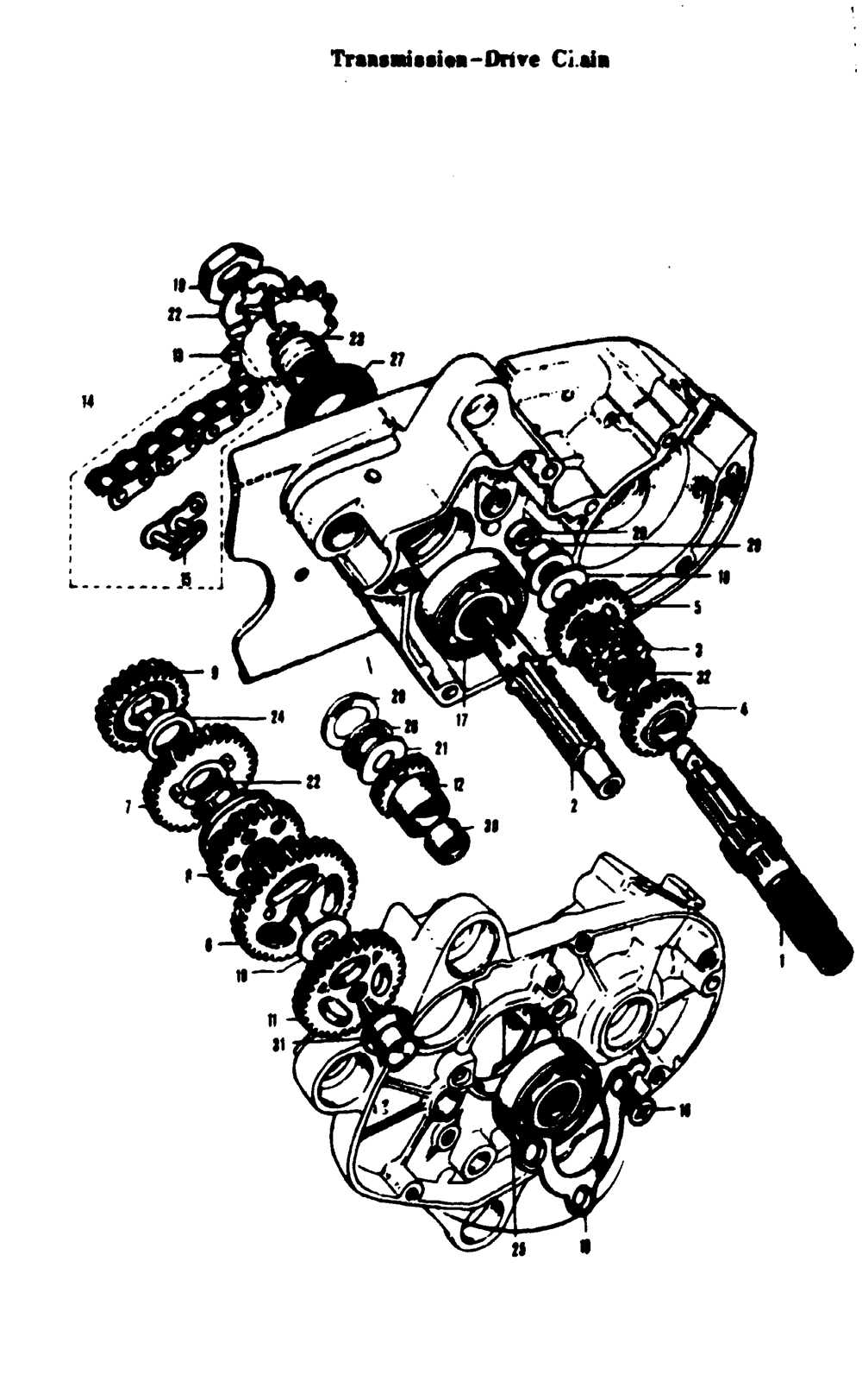 Transmission-drive chain