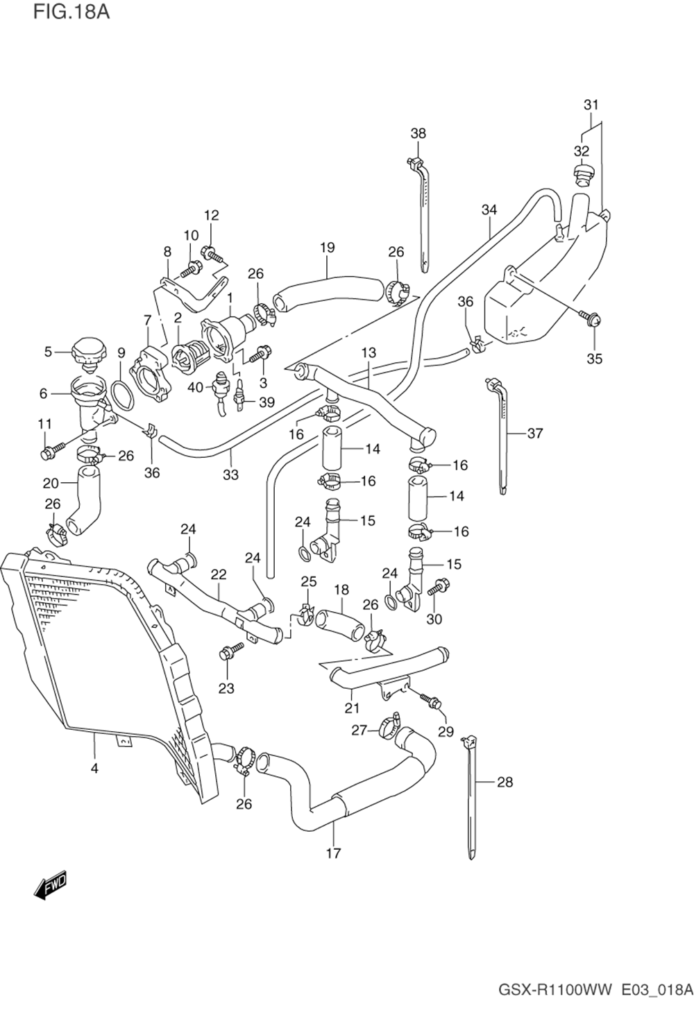 Radiator hose (model s_t_v_w)