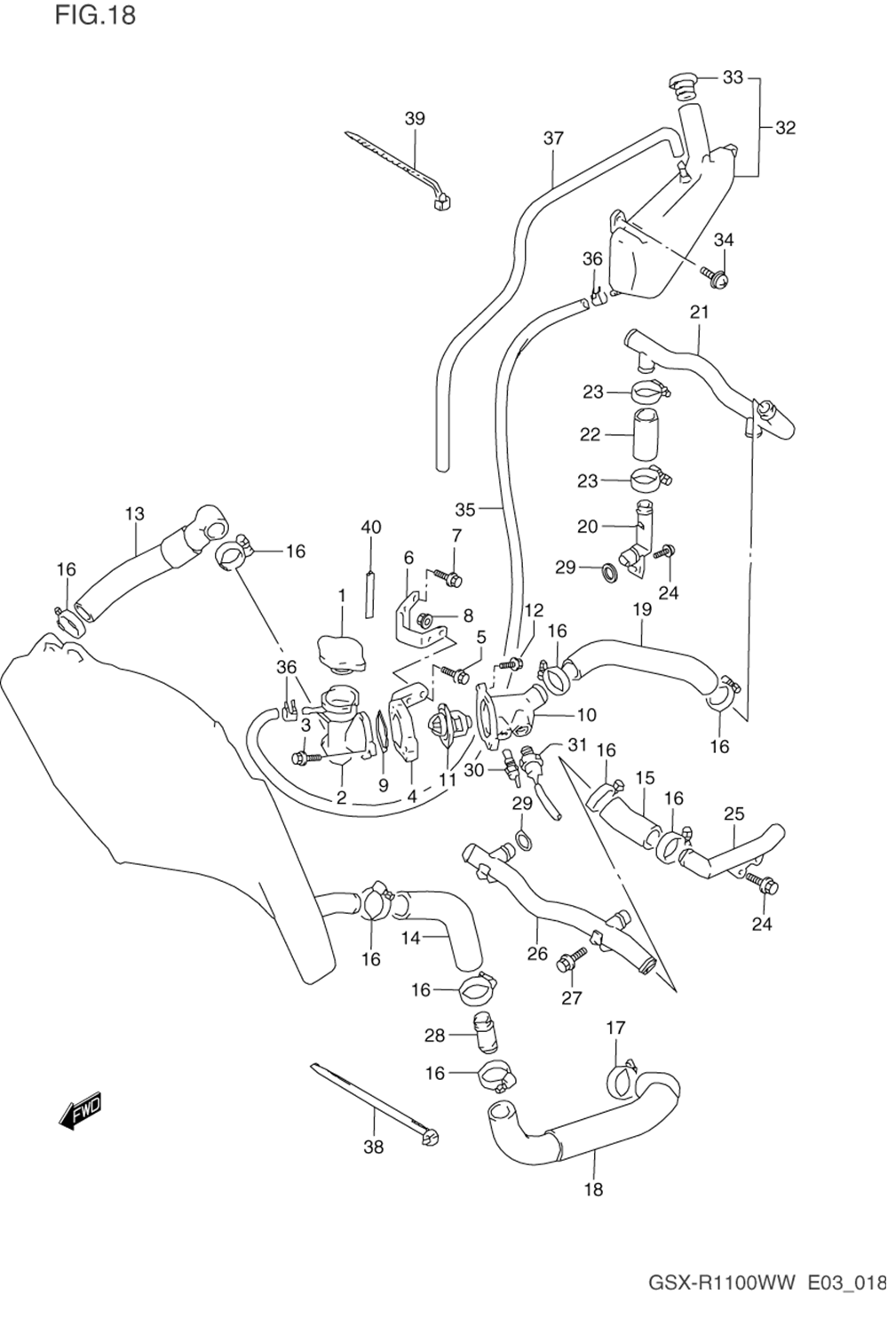 Radiator hose (model p_r)