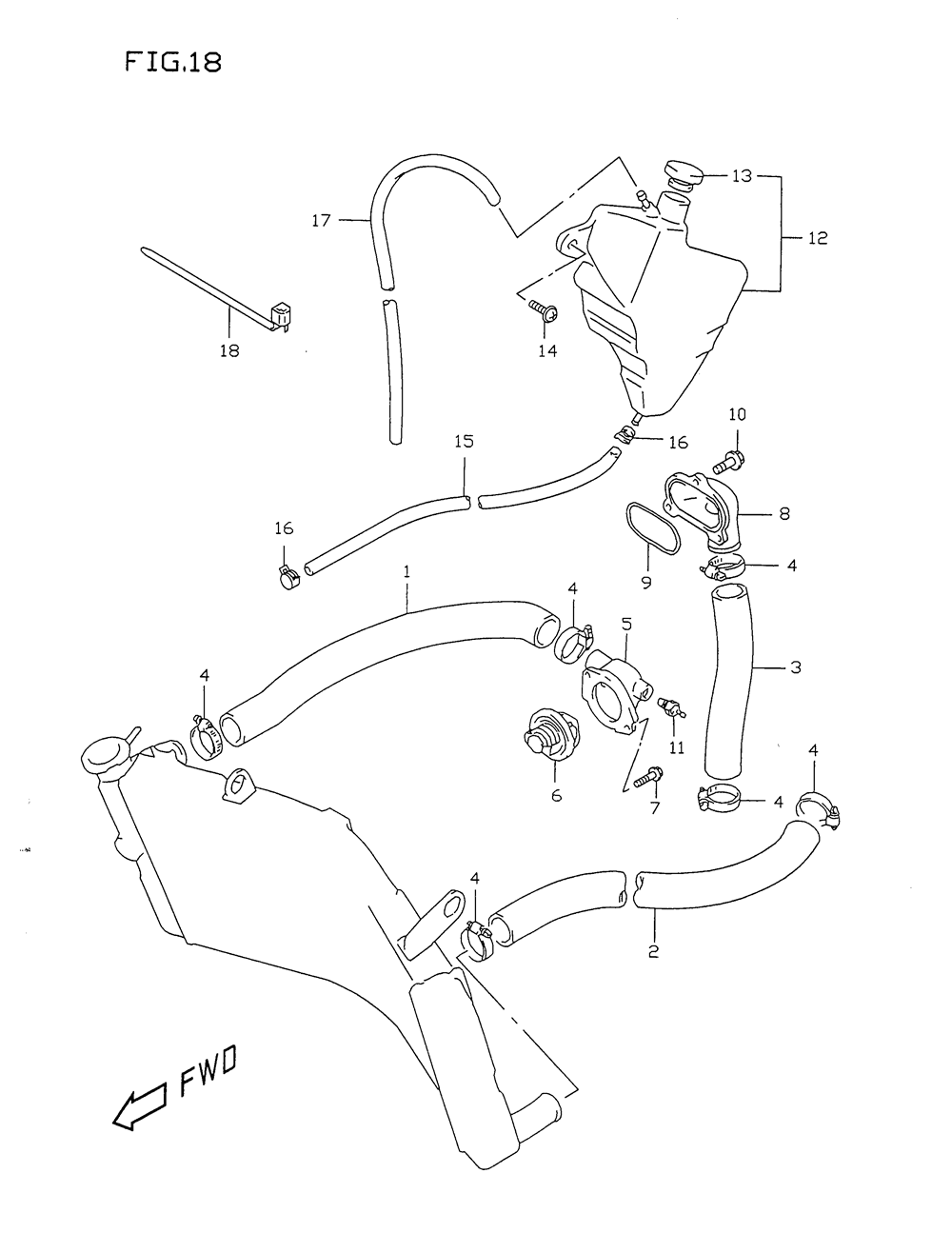 Radiator hose (model t_v)