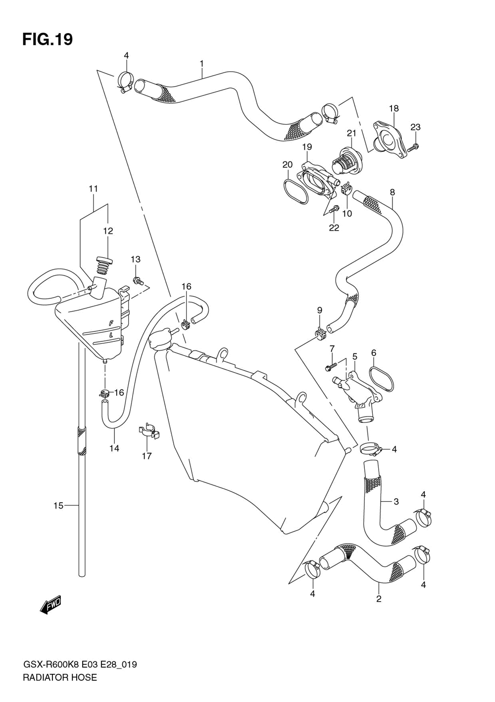 Radiator hose