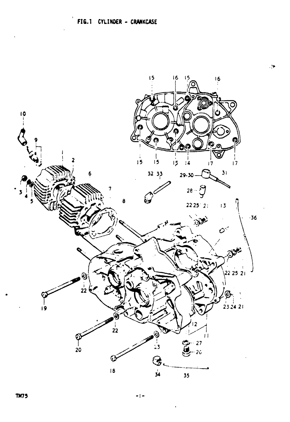 Cylinder - crankcase