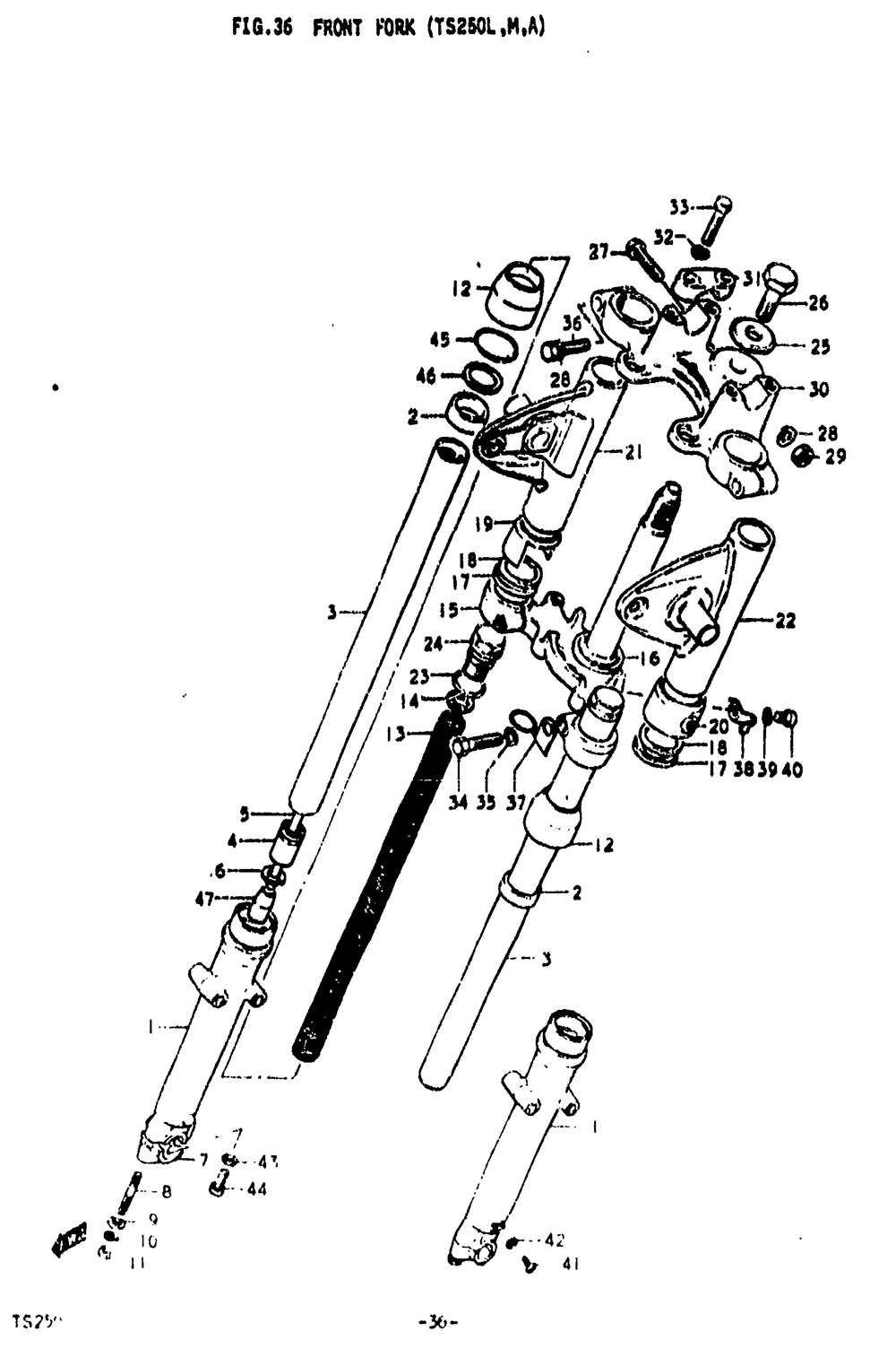 Front fork (ts250l