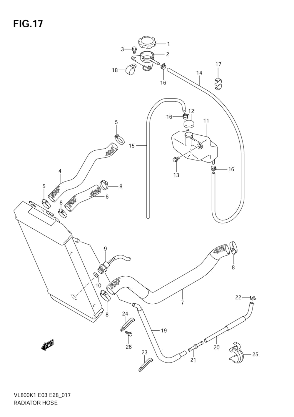 Radiator hose