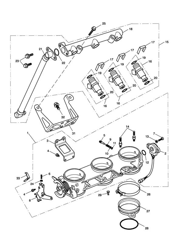 Throttles_injectors and fuel rail 207555