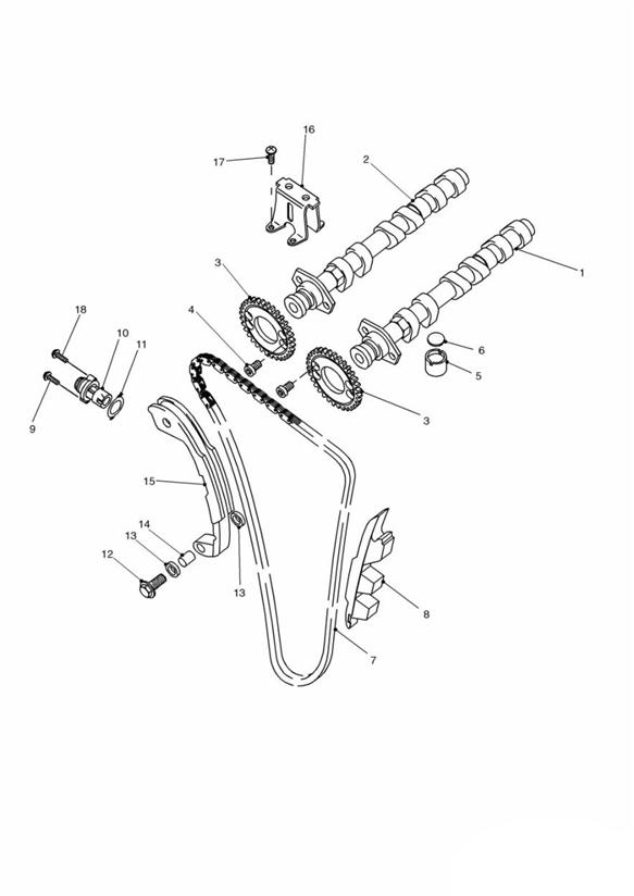 Camshaft and drive