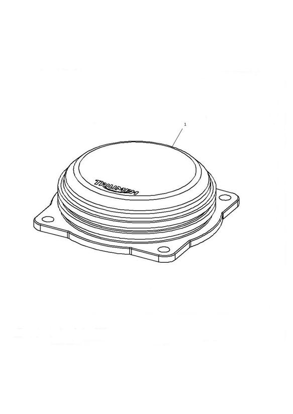 Throttle body cap