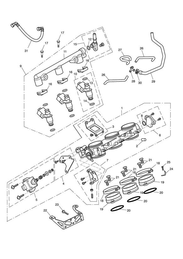 Throttles, injectors and fuel rail