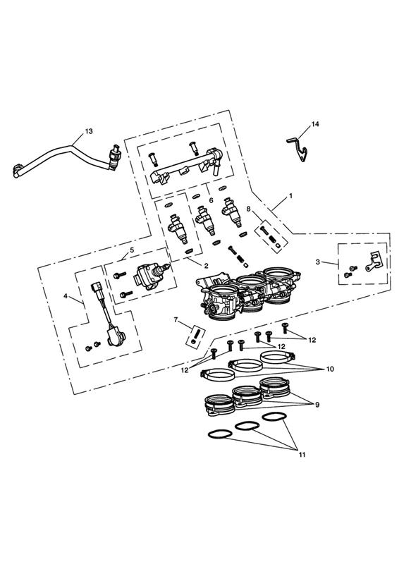 Throttles, injectors and fuel rail