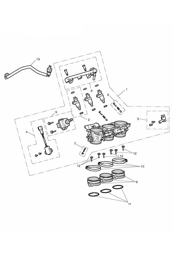 Throttles, injectors and fuel rail