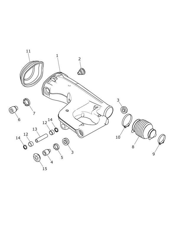 Rear swingarm