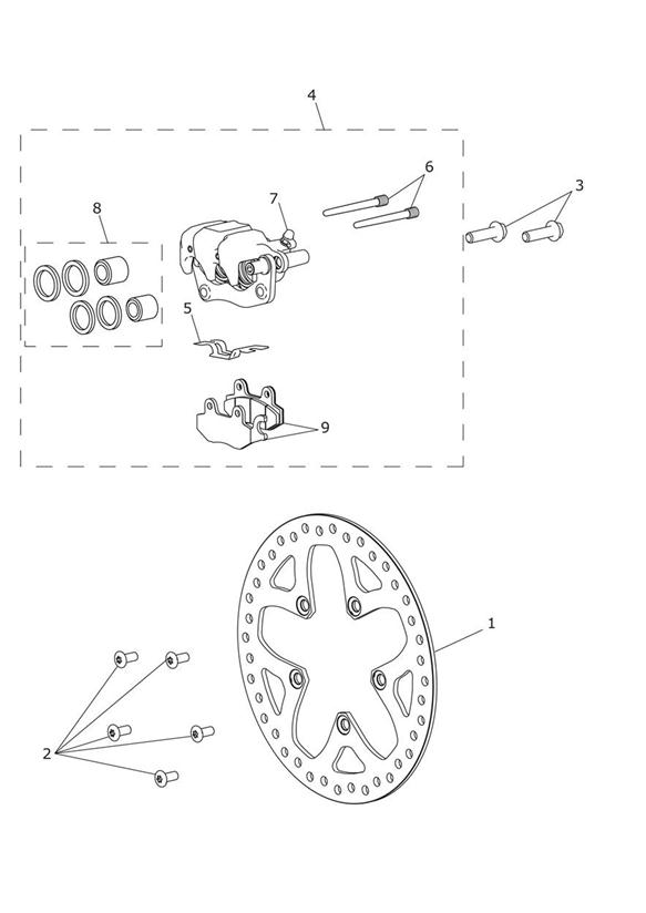 Rear brake caliper & disc