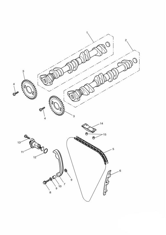 Camshaft and drive