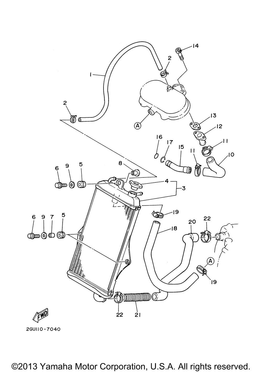 Radiator - hose