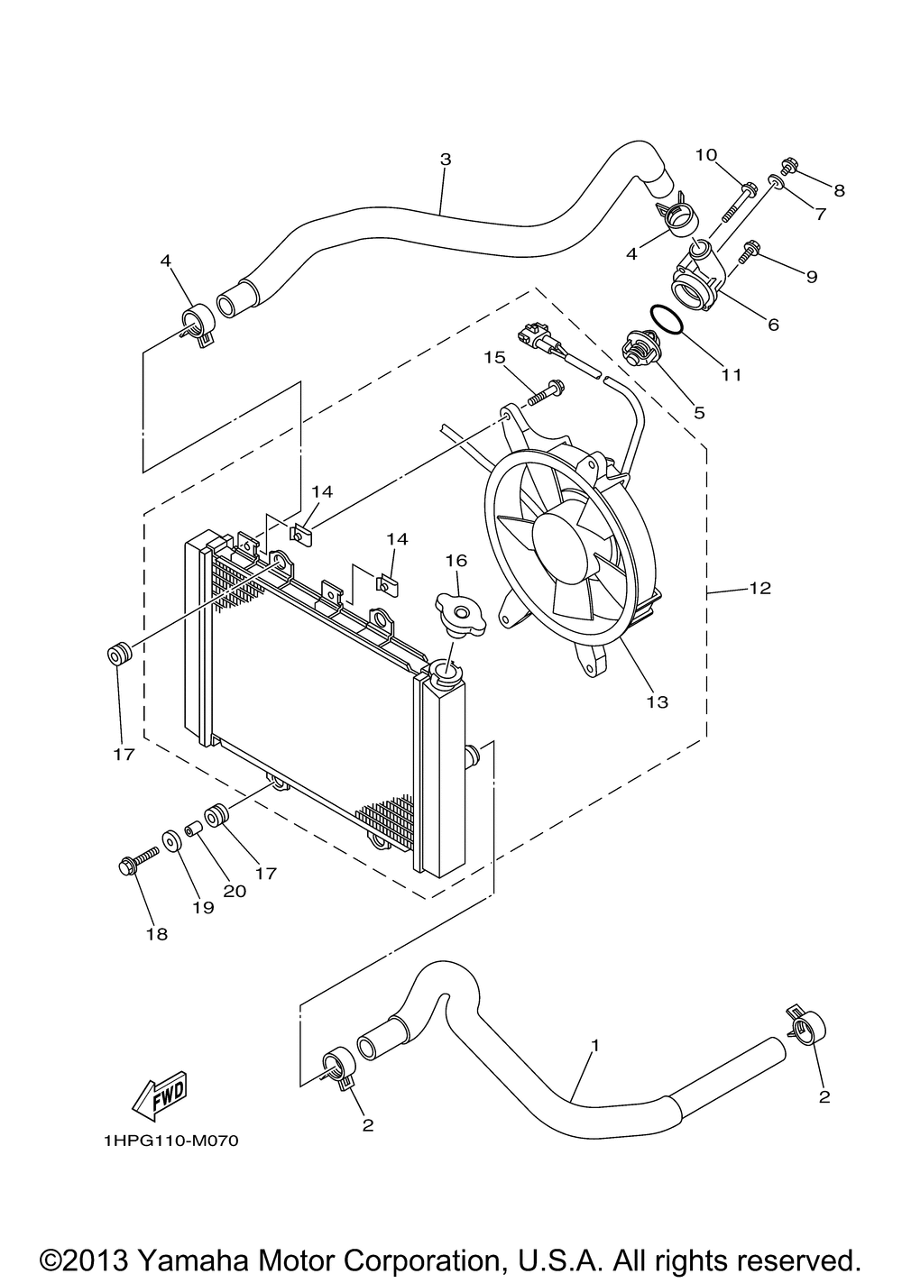 Radiator hose