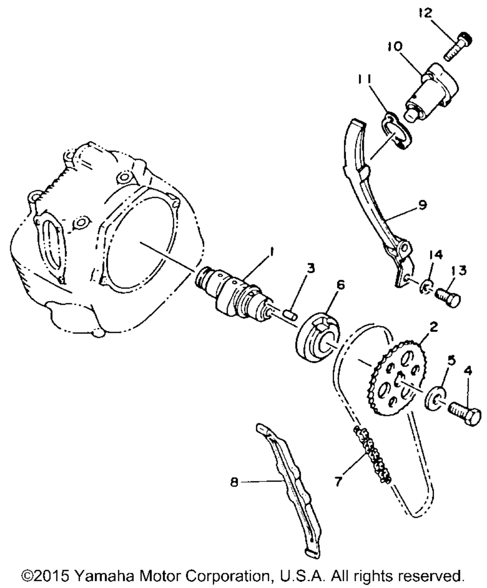 Camshaft chain