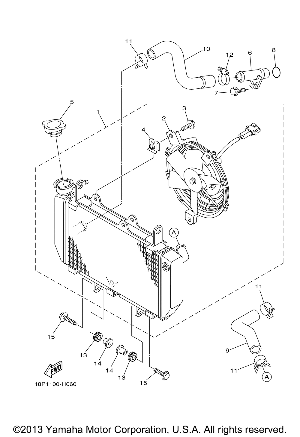 Radiator hose