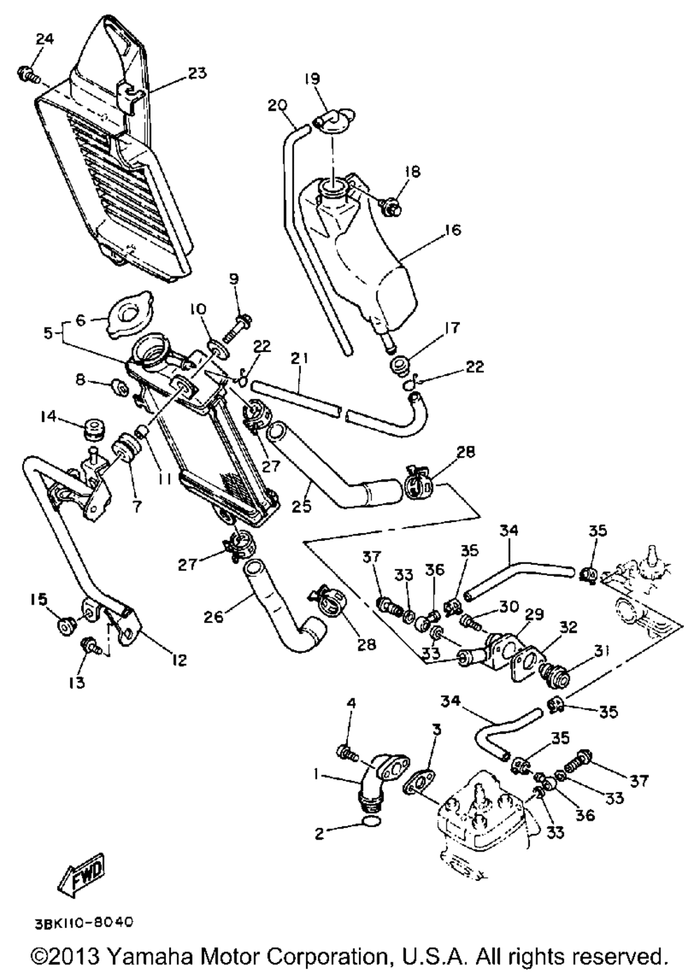 Radiator - hose