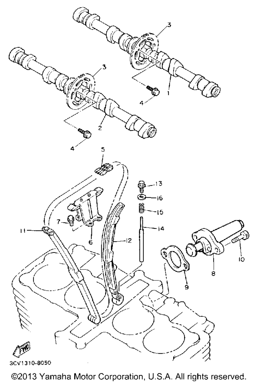 Camshaft chain