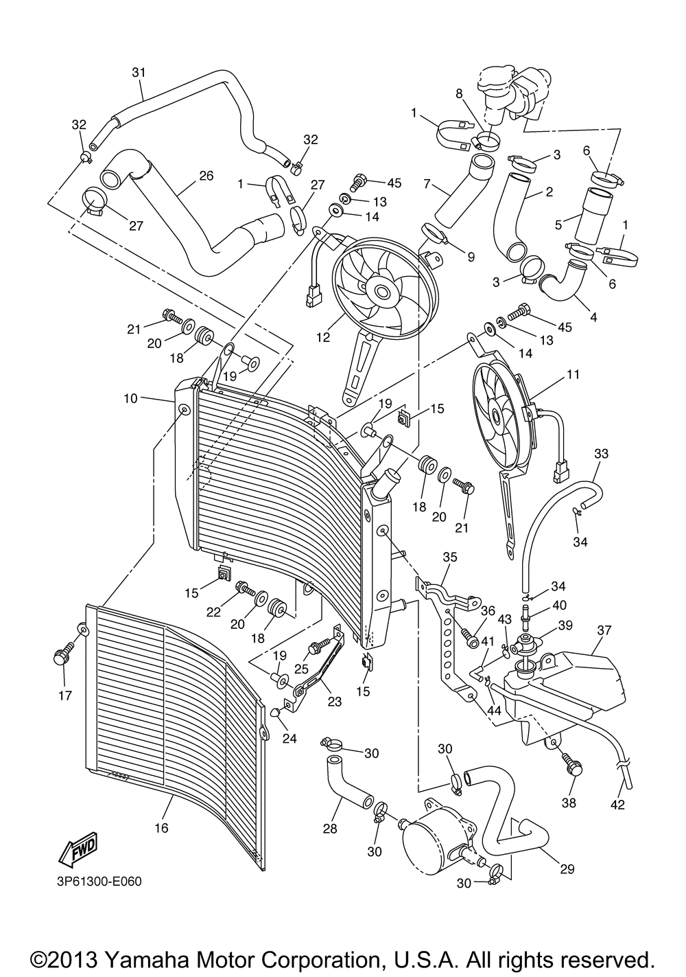 Radiator hose